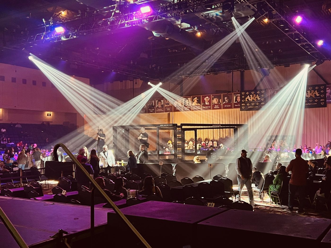 Purple lighting beams over a venue crowd